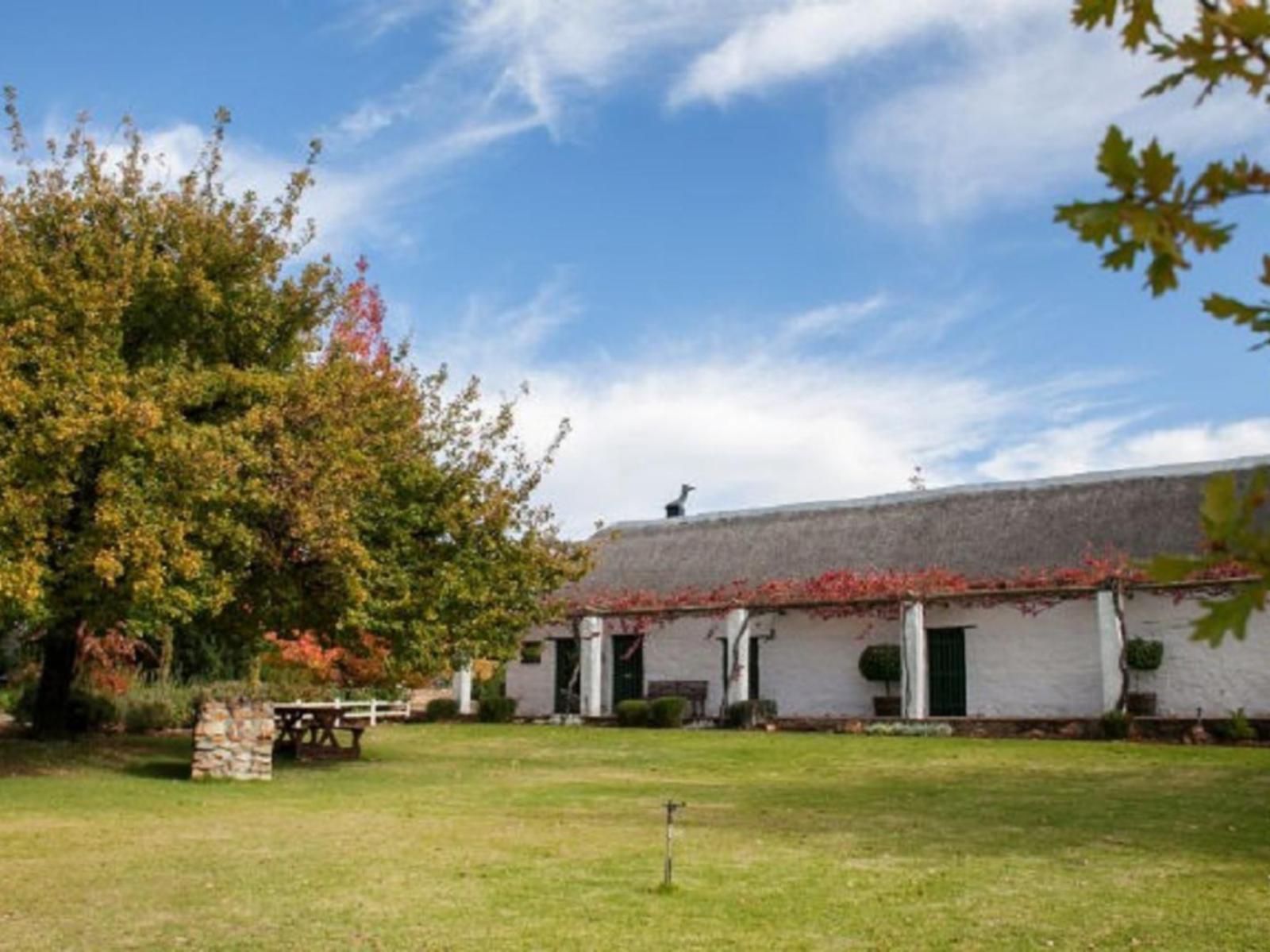 Heiveld Farm Cottages, Barn, Building, Architecture, Agriculture, Wood