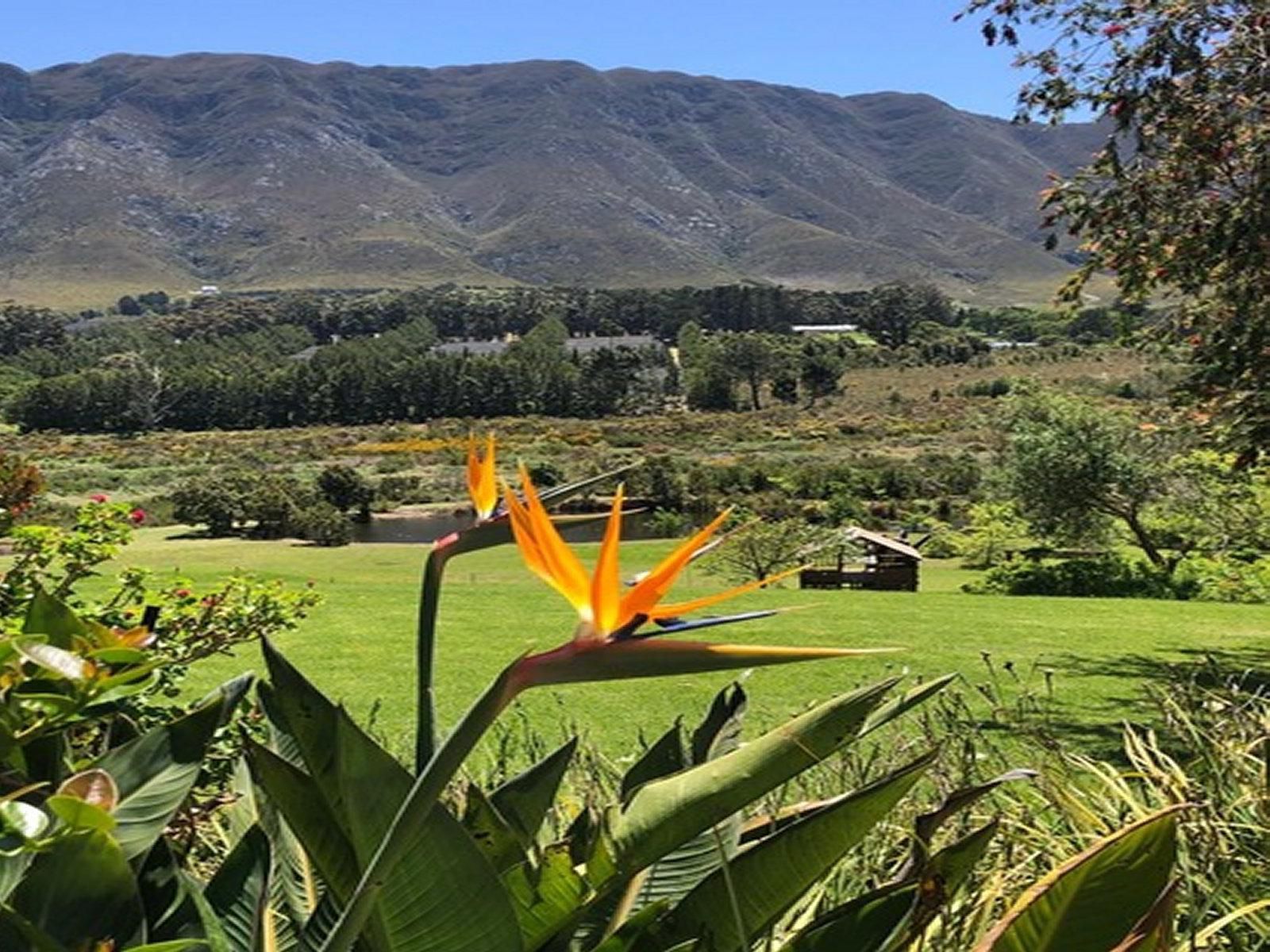 Hemel En Aarde Cottages Hemel En Aarde Western Cape South Africa Plant, Nature, Garden