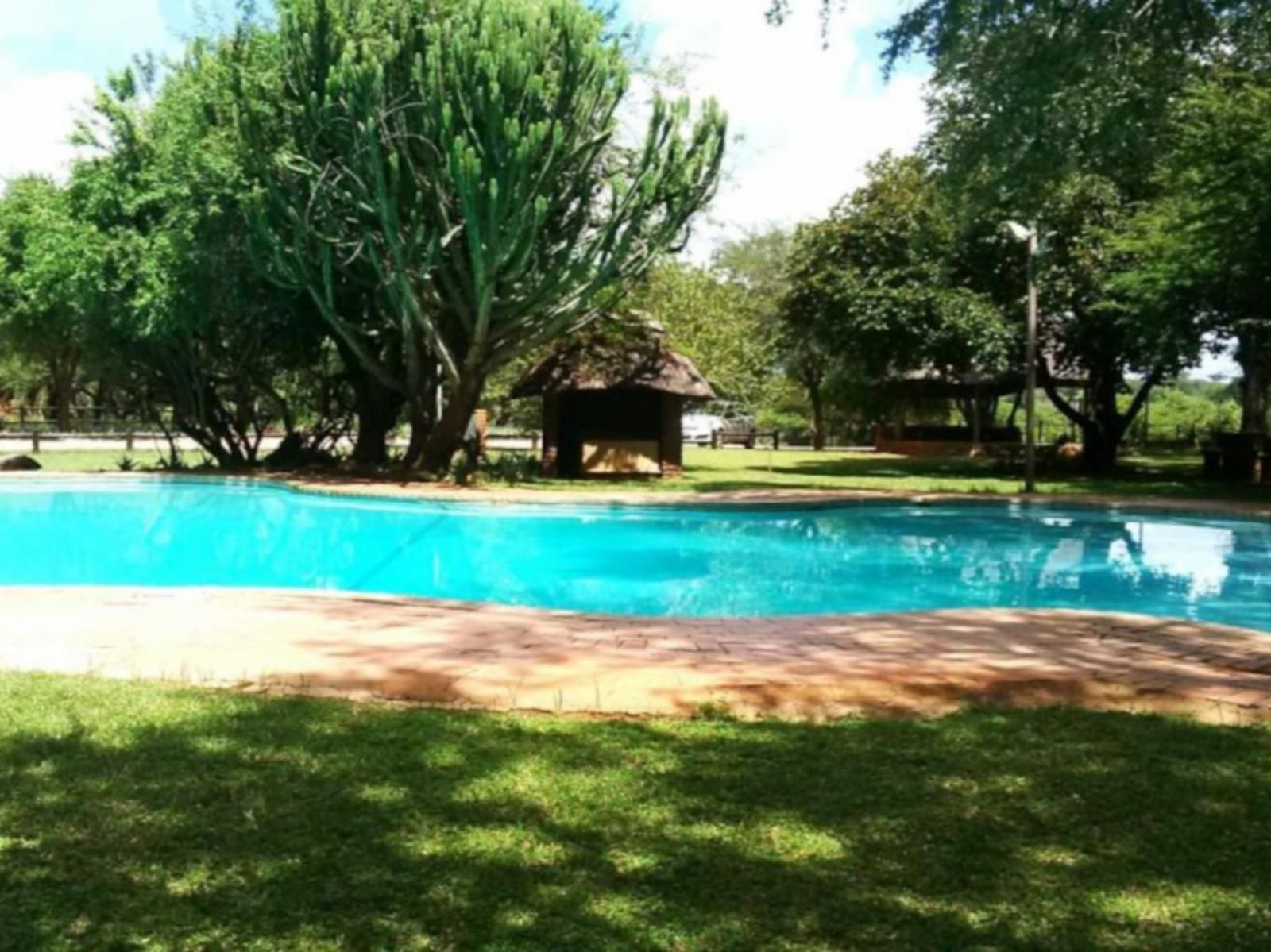 Henk Van Rooyen Park Marloth Park Mpumalanga South Africa Swimming Pool