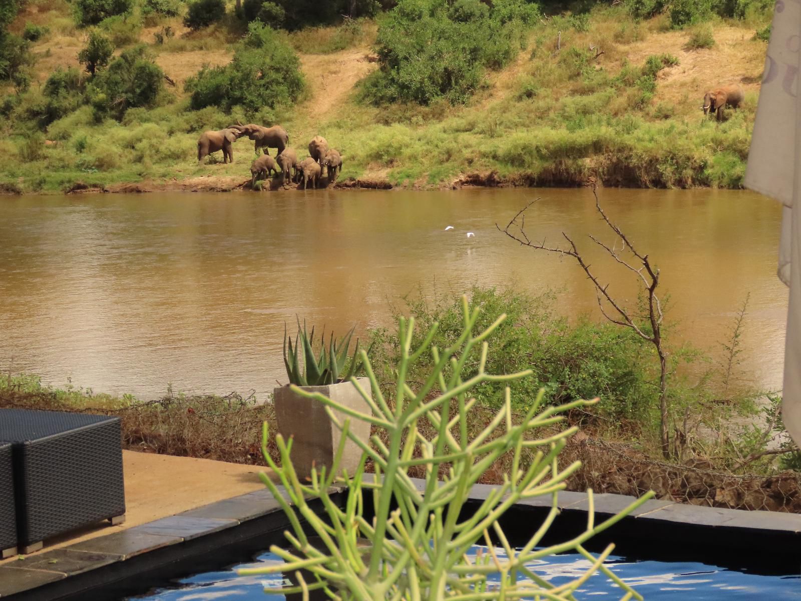 Hennie S Rest Guest House Malelane Mpumalanga South Africa River, Nature, Waters