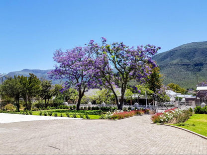 Herberg Manor, Blossom, Plant, Nature