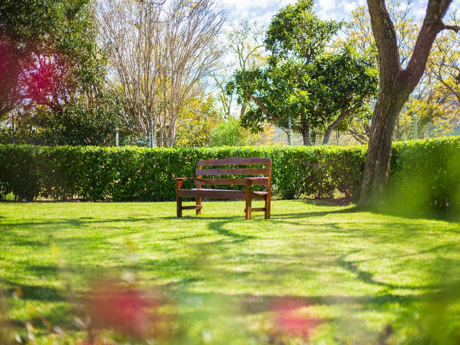 Herberg Manor, Garden, Nature, Plant