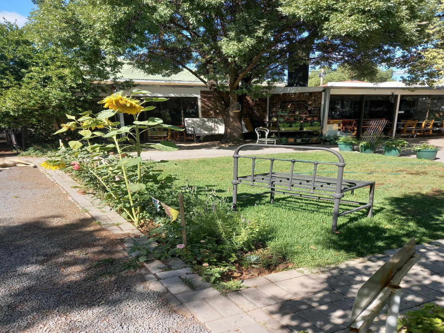 Herb Garden Guest House Colesberg Northern Cape South Africa Pavilion, Architecture, Plant, Nature, Garden