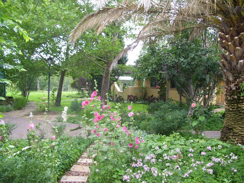 Herder Herberg Guest House Glen Bloemfontein Free State South Africa Plant, Nature, Garden