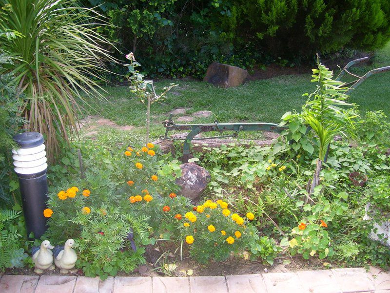 Herder Herberg Guest House Glen Bloemfontein Free State South Africa Flower, Plant, Nature, Garden