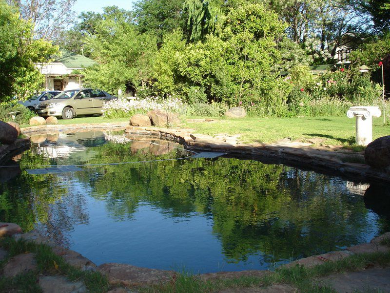 Heritage House Bed And Breakfast Cradock Eastern Cape South Africa River, Nature, Waters, Tree, Plant, Wood, Garden
