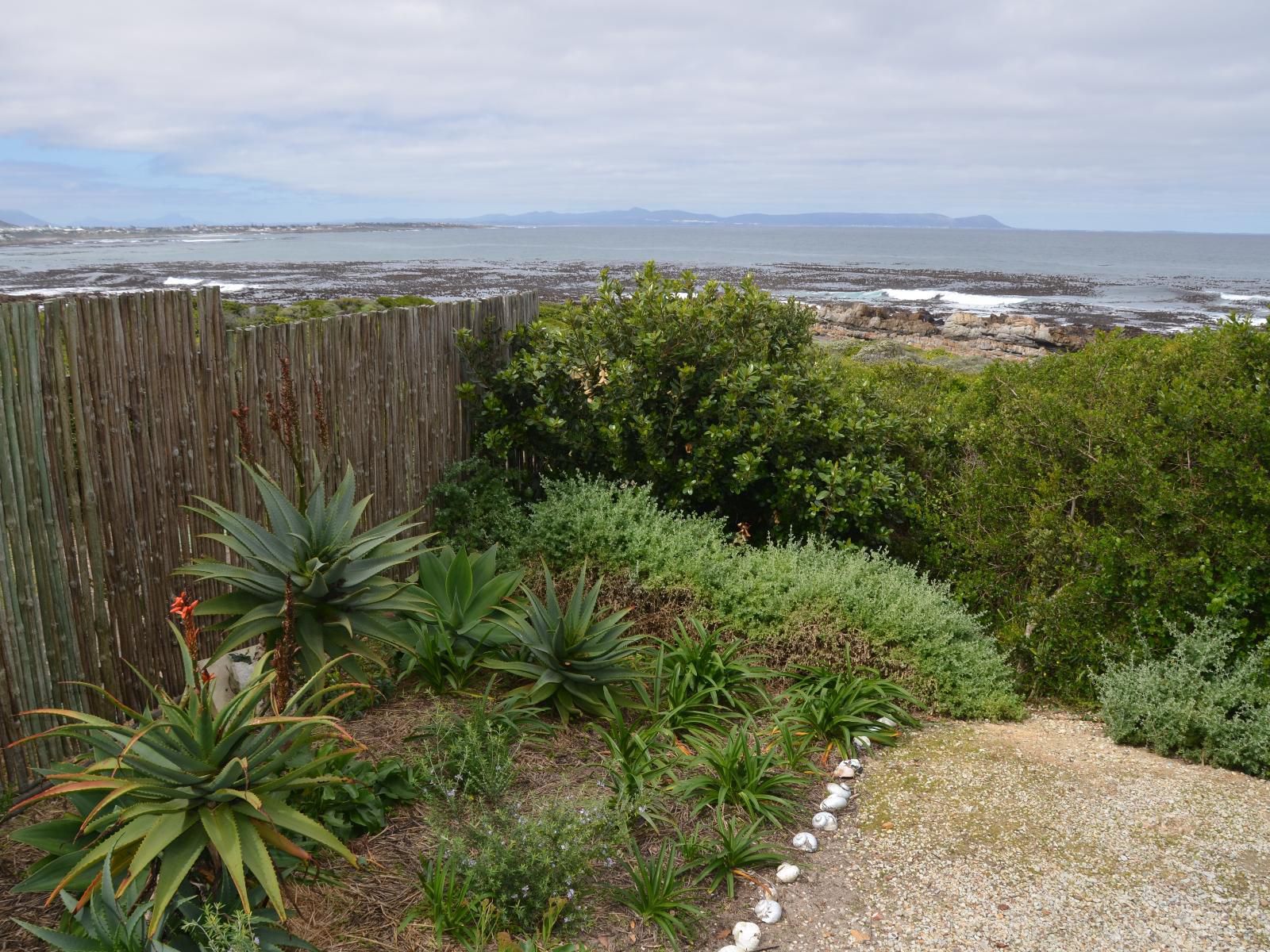 Hermanus Beach Villa And Cottages Vermont Za Hermanus Western Cape South Africa Complementary Colors, Plant, Nature, Garden