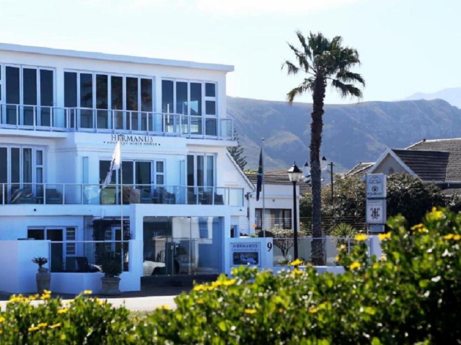 Hermanus Boutique Guesthouse Hermanus Western Cape South Africa House, Building, Architecture, Palm Tree, Plant, Nature, Wood, Sign