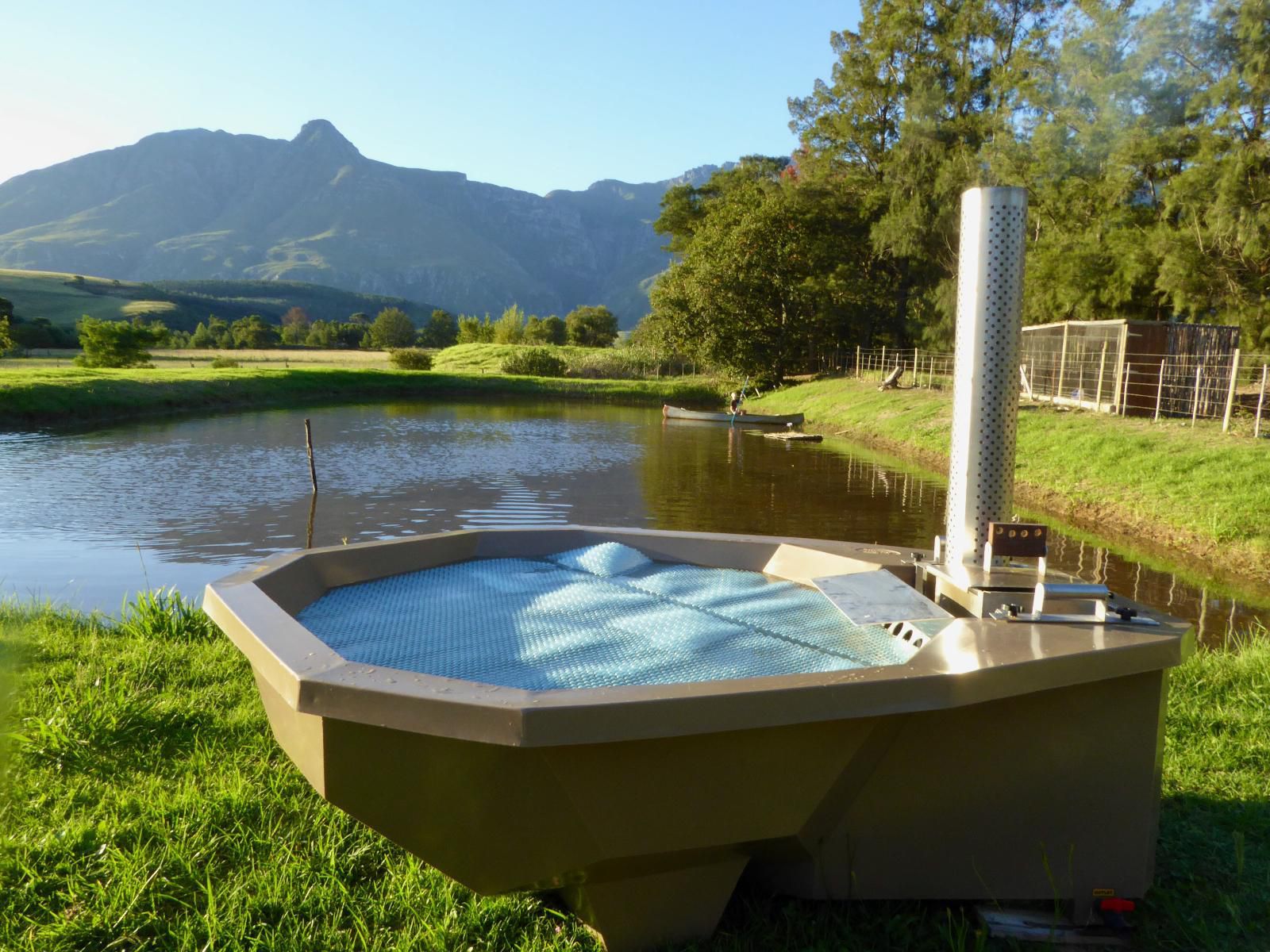 Hermitage Huisies Swellendam Western Cape South Africa Complementary Colors, Swimming Pool