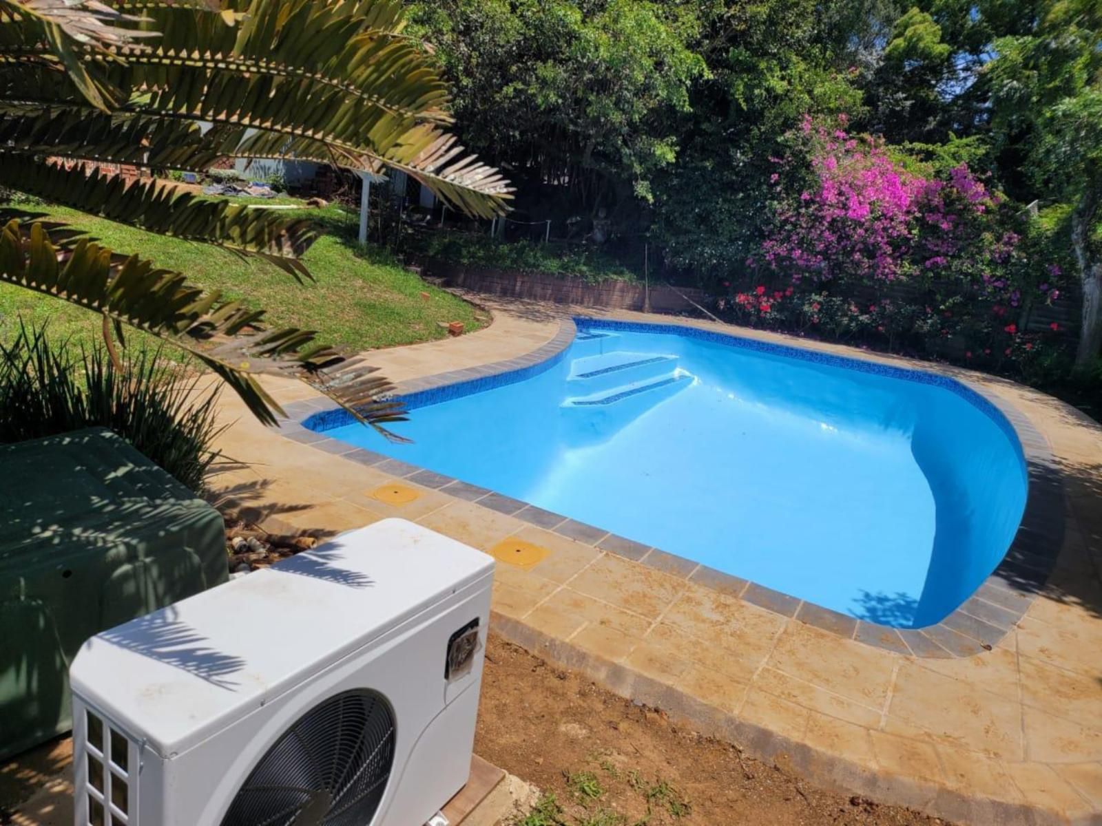 Heroes Garden Lodge, Palm Tree, Plant, Nature, Wood, Swimming Pool