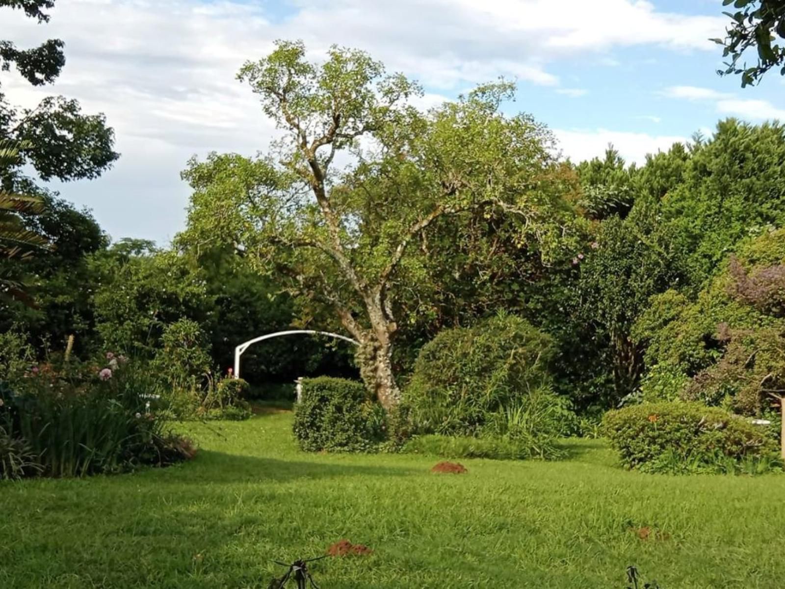 Heroes Garden Lodge, Plant, Nature, Tree, Wood, Garden