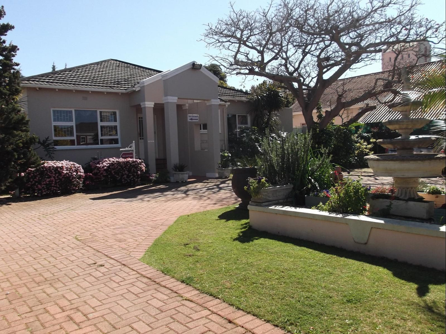 Heugh Road Guest House Walmer Port Elizabeth Eastern Cape South Africa House, Building, Architecture, Palm Tree, Plant, Nature, Wood