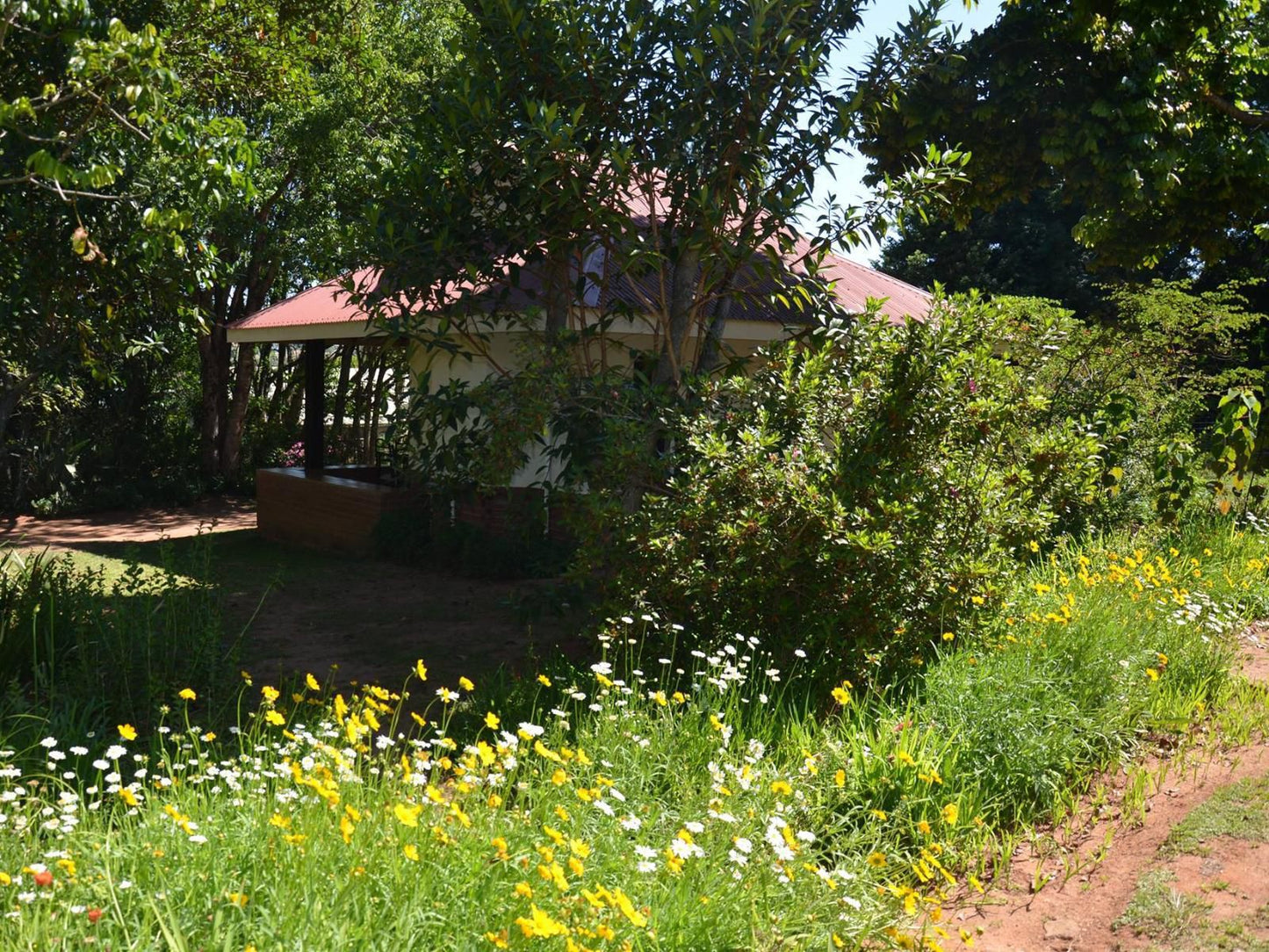 Heuglins, Plant, Nature, Garden