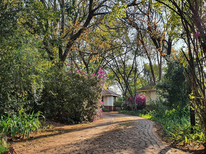 Heuglins, House, Building, Architecture, Plant, Nature, Garden