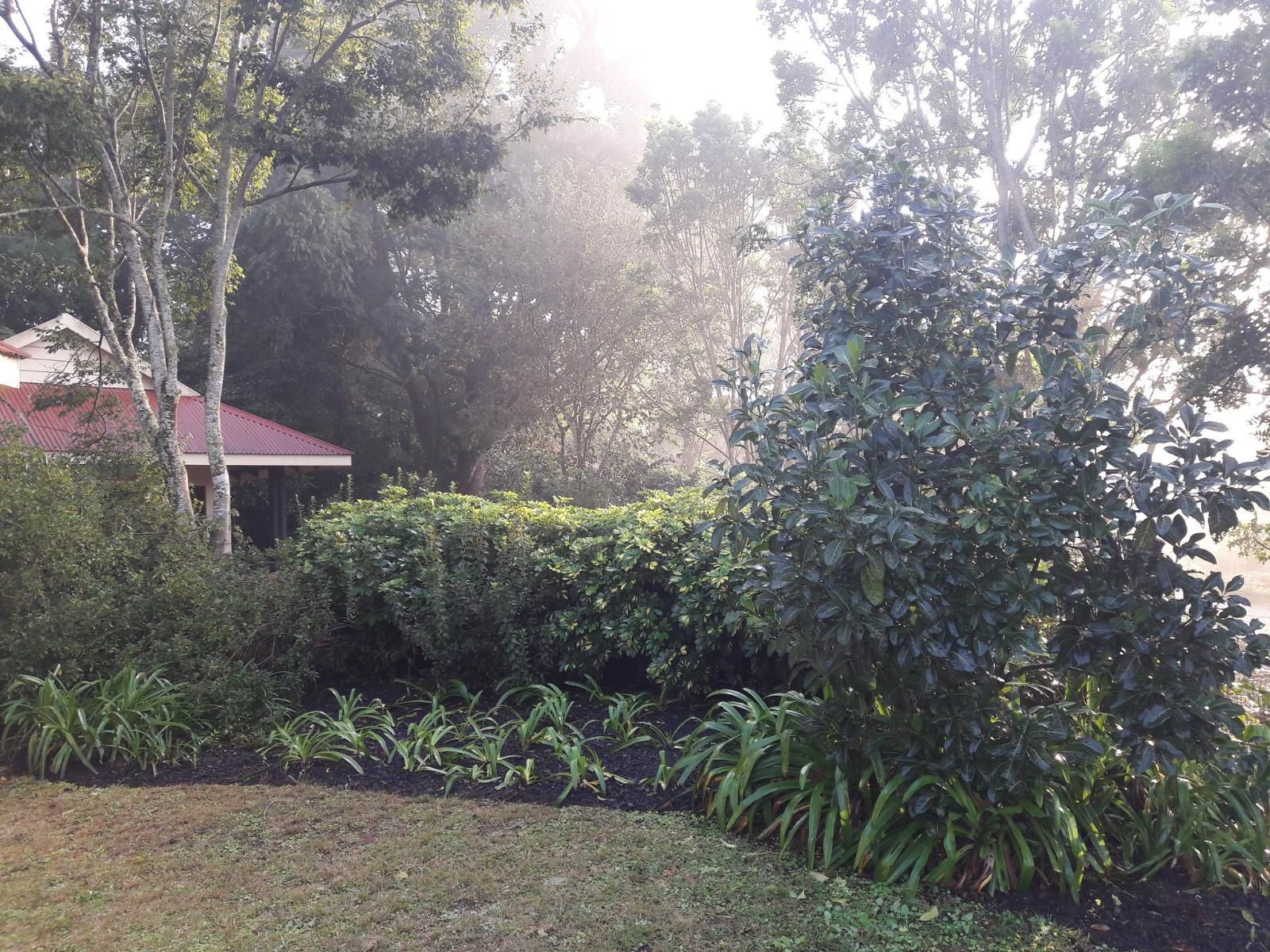 Heuglins, Wagtail Room, Plant, Nature, Tree, Wood, Garden