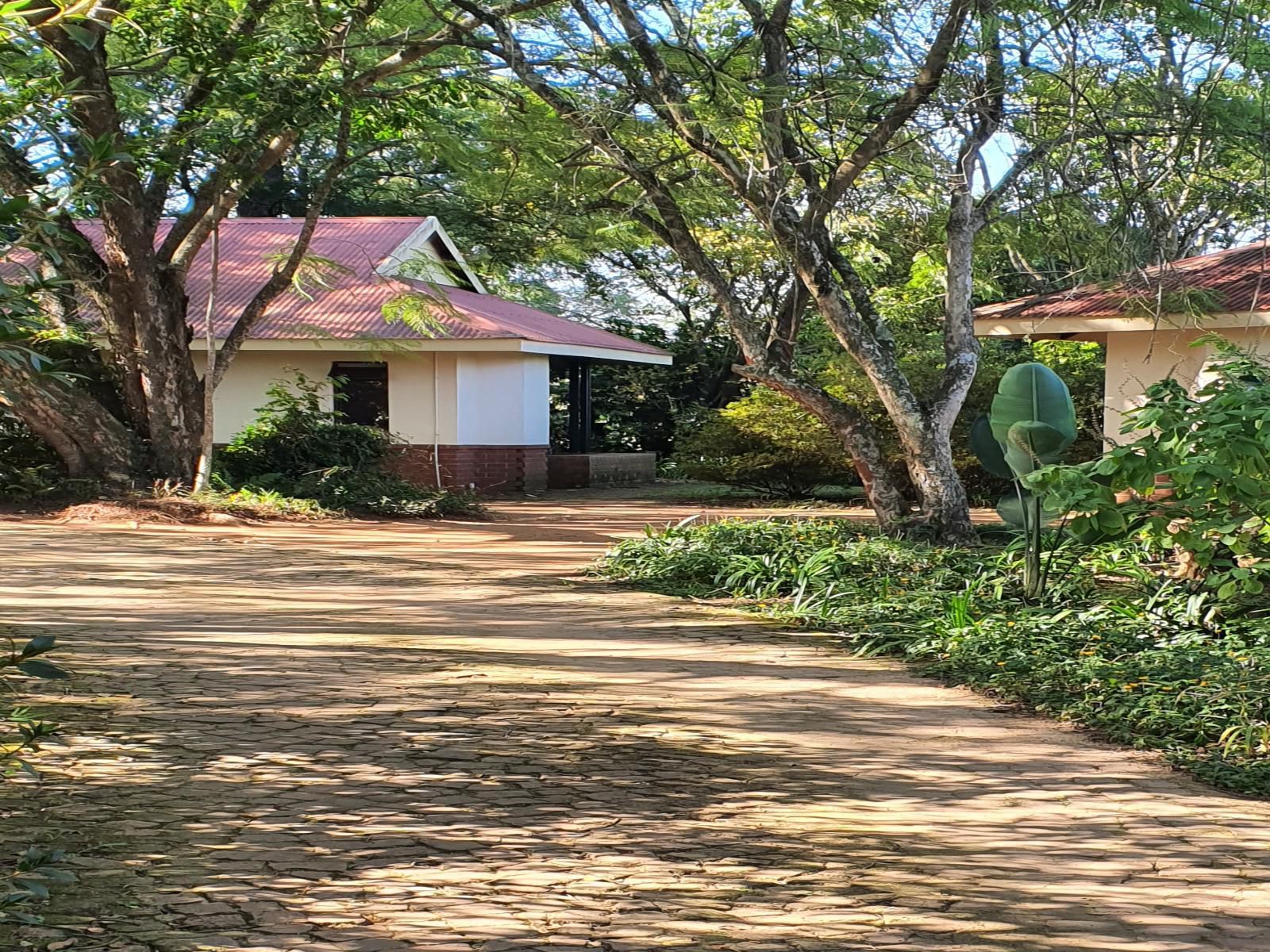 Heuglins, Wagtail Room, House, Building, Architecture, Palm Tree, Plant, Nature, Wood