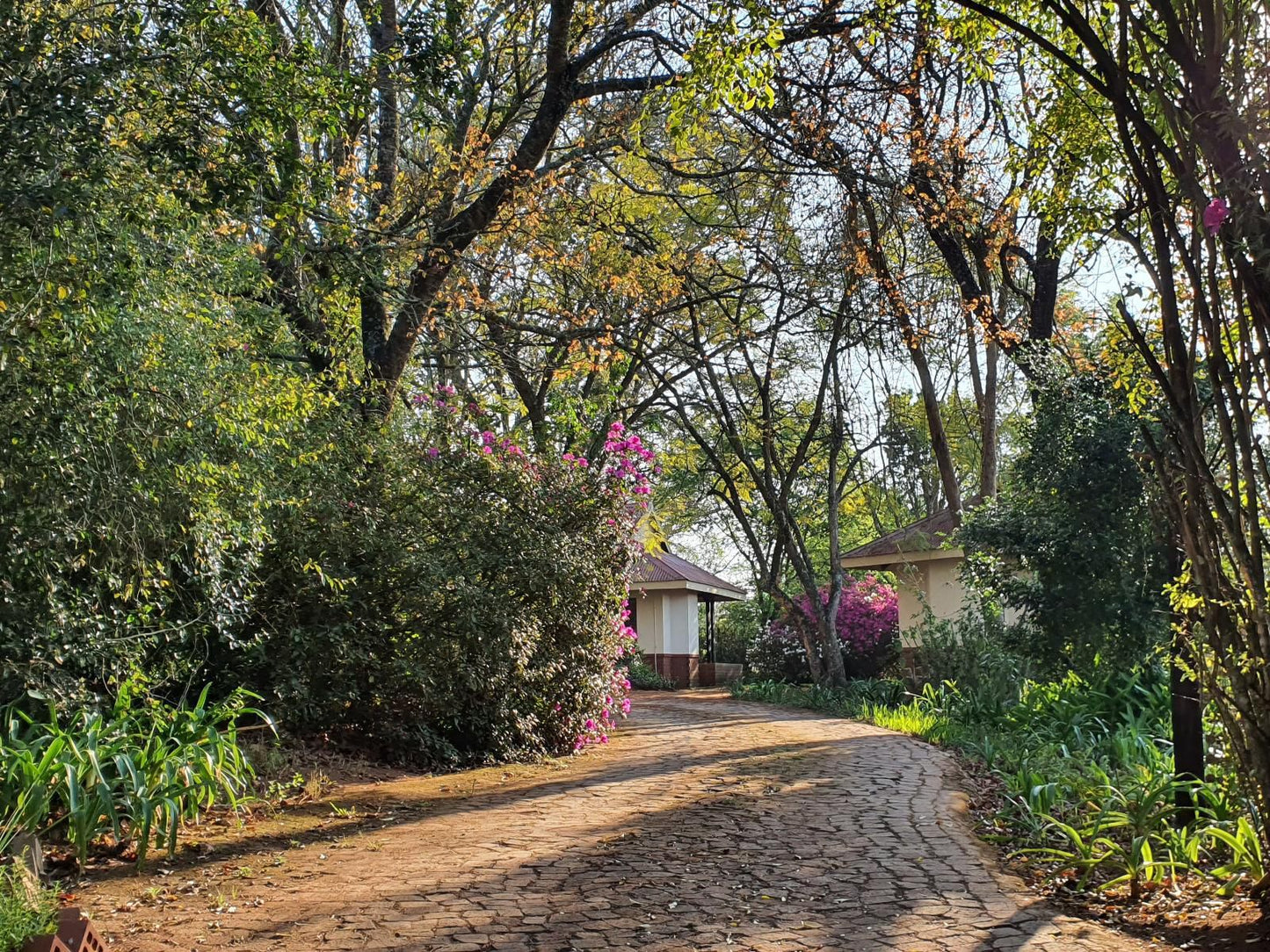 Heuglins Lodge White River Mpumalanga South Africa House, Building, Architecture, Plant, Nature, Garden