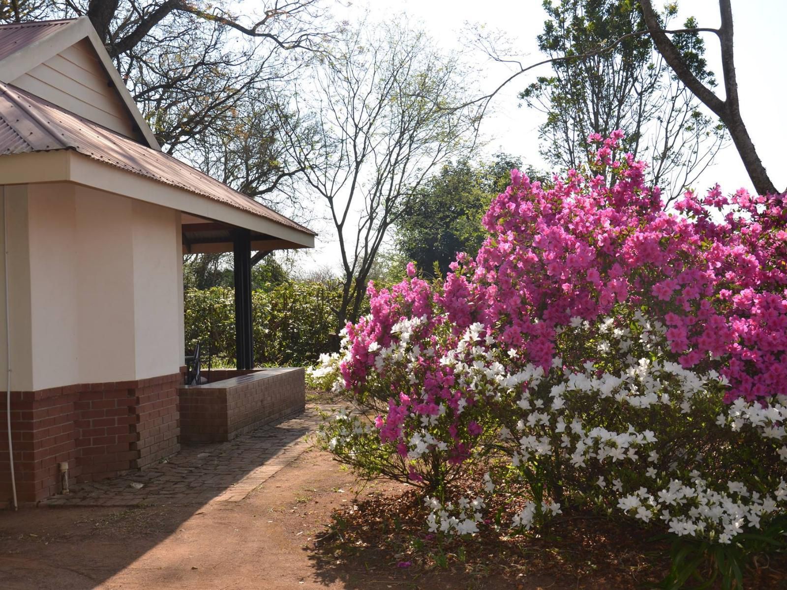 Heuglins Lodge White River Mpumalanga South Africa Blossom, Plant, Nature, House, Building, Architecture, Rose, Flower, Garden
