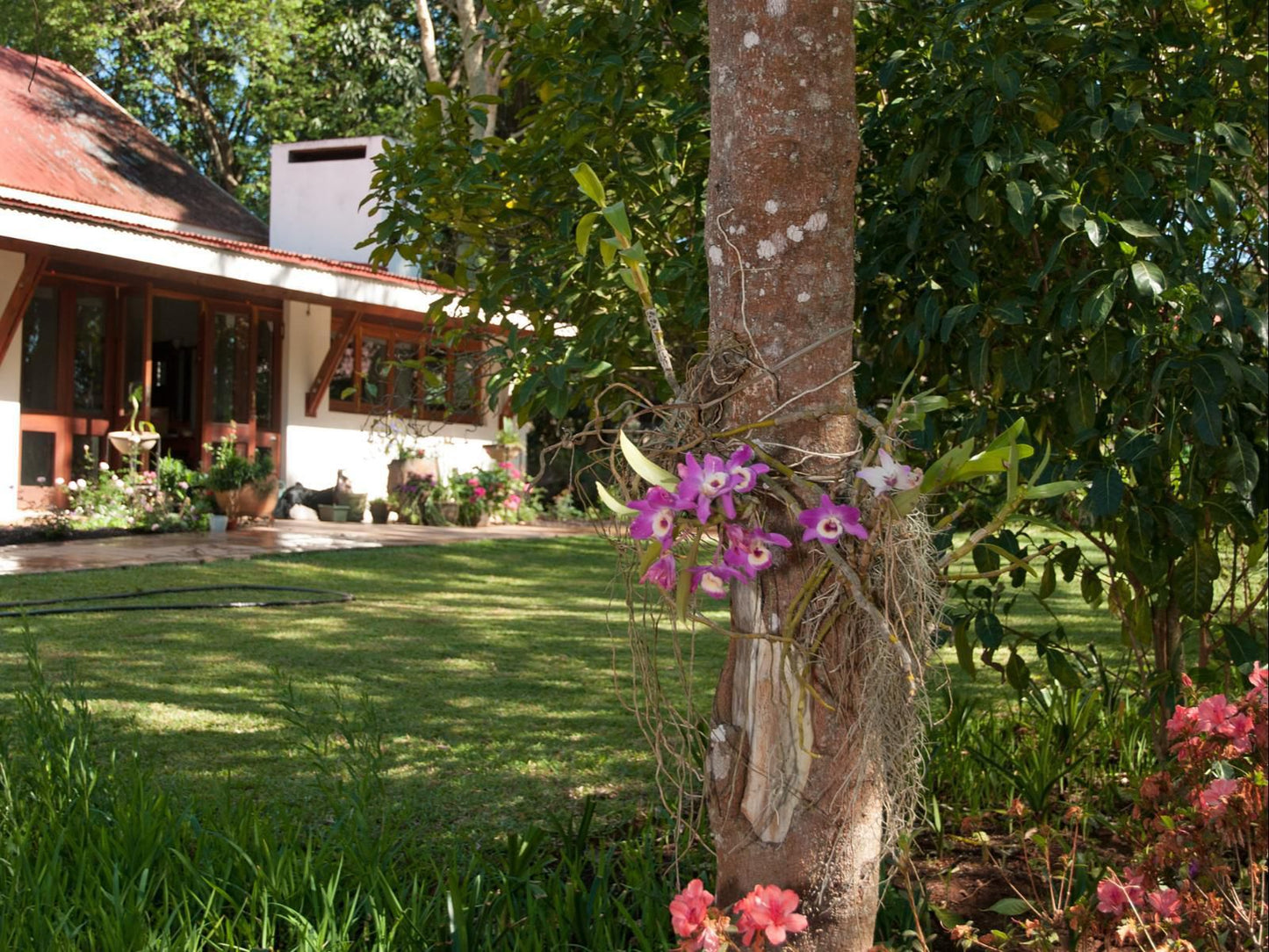 Heuglins Lodge White River Mpumalanga South Africa House, Building, Architecture, Plant, Nature, Garden