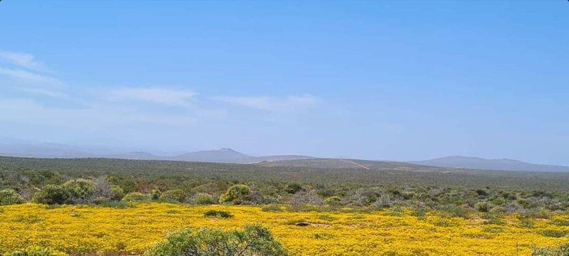 Heuningness Guestfarm Hondeklipbaai Northern Cape South Africa Complementary Colors, Desert, Nature, Sand, Lowland