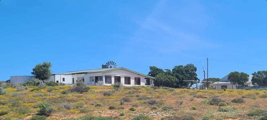 Heuningness Guestfarm Hondeklipbaai Northern Cape South Africa Complementary Colors, Building, Architecture