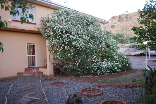 Hexagon Guest House Queenstown Eastern Cape South Africa House, Building, Architecture, Plant, Nature, Rose, Flower, Garden