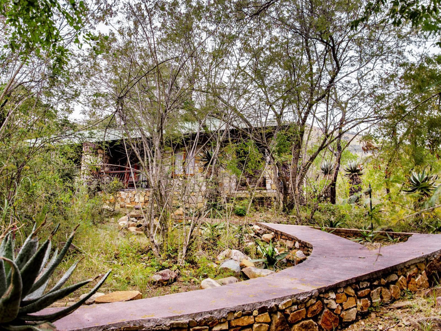 Heysbrook Country Lodge Waterval Onder Mpumalanga South Africa Plant, Nature, Garden