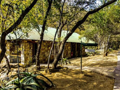 Heysbrook Country Lodge Waterval Onder Mpumalanga South Africa Plant, Nature