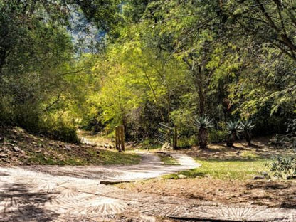 Heysbrook Country Lodge Waterval Onder Mpumalanga South Africa Forest, Nature, Plant, Tree, Wood, Cycling, Sport, Bicycle, Vehicle