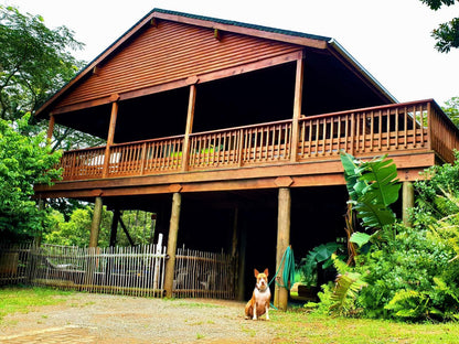 Hib Escape Log Cabins Hibberdene Kwazulu Natal South Africa Building, Architecture