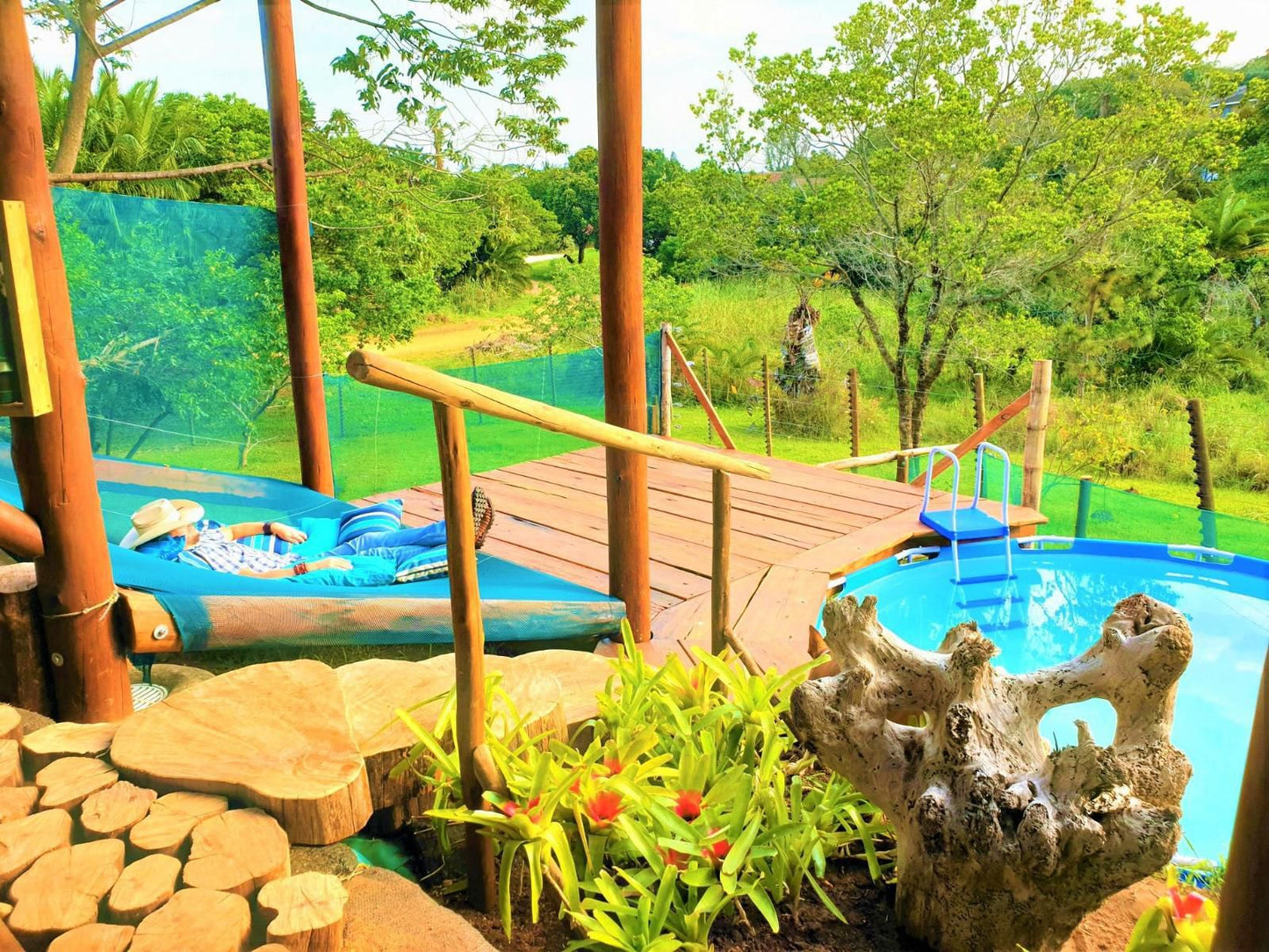 Hib Escape Log Cabins Hibberdene Kwazulu Natal South Africa Colorful, Garden, Nature, Plant, Swimming Pool