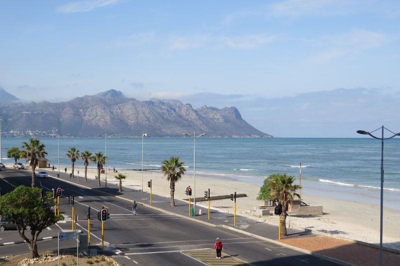 Hibernian Towers 307 Strand Western Cape South Africa Beach, Nature, Sand, Palm Tree, Plant, Wood