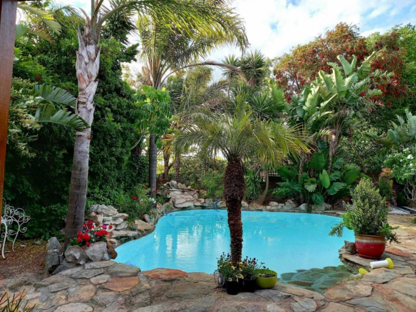 Hidden Gem Self-Catering, Palm Tree, Plant, Nature, Wood, Garden, Swimming Pool