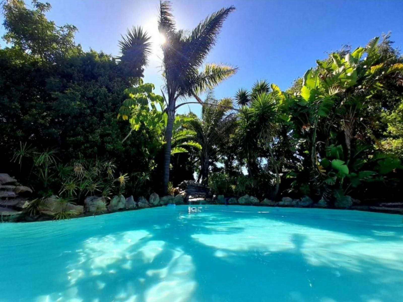 Hidden Gem Self-Catering, Palm Tree, Plant, Nature, Wood, Swimming Pool