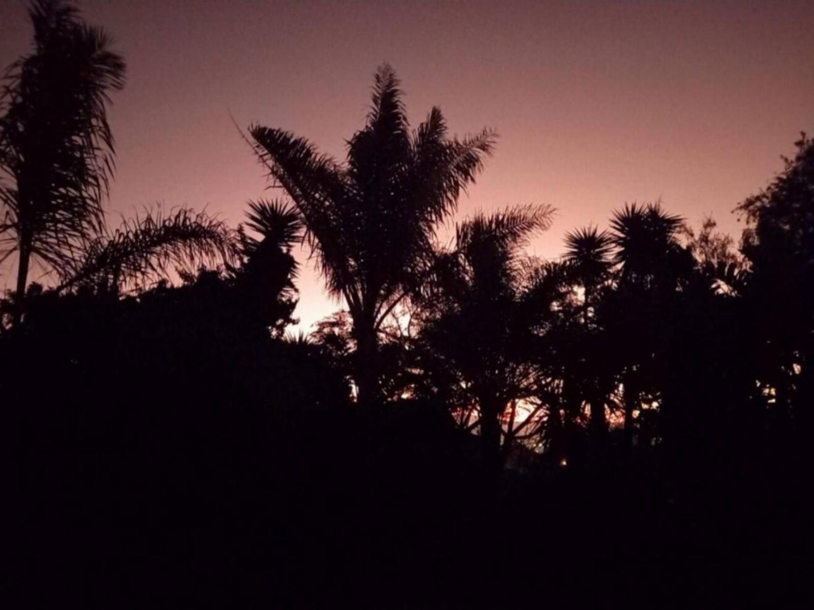 Hidden Gem Self-Catering, Palm Tree, Plant, Nature, Wood, Silhouette, Sunset, Sky