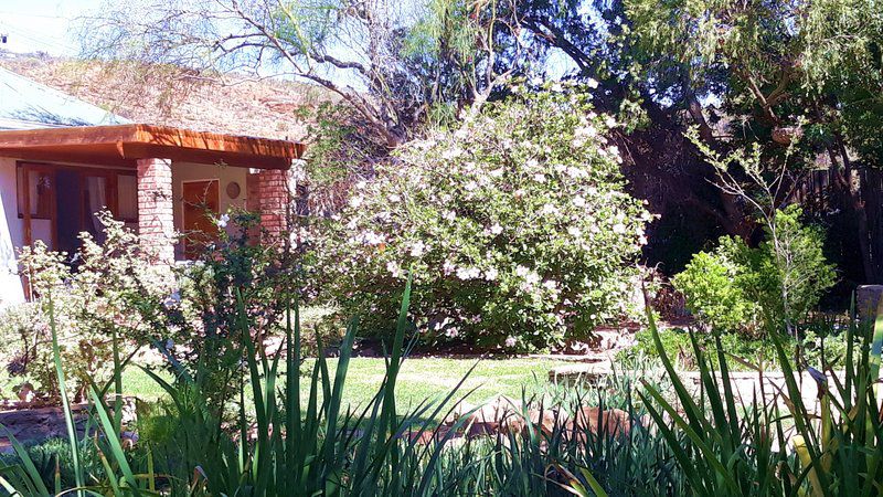 Hidden Emerald Barrydale Western Cape South Africa Plant, Nature, Garden