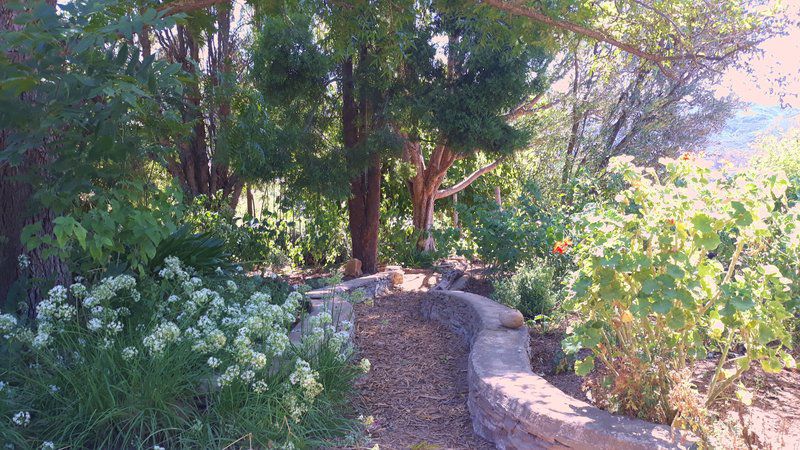 Hidden Emerald Barrydale Western Cape South Africa Plant, Nature, Garden