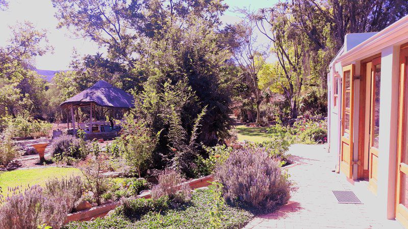 Hidden Emerald Barrydale Western Cape South Africa Plant, Nature, Garden