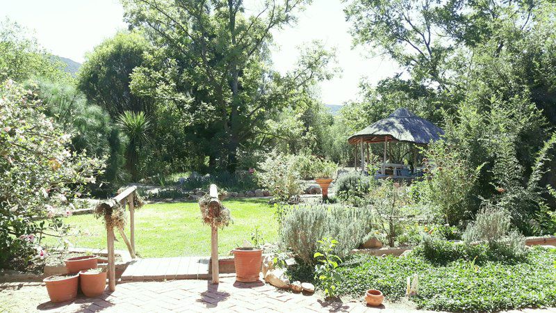 Hidden Emerald Barrydale Western Cape South Africa Plant, Nature, Garden