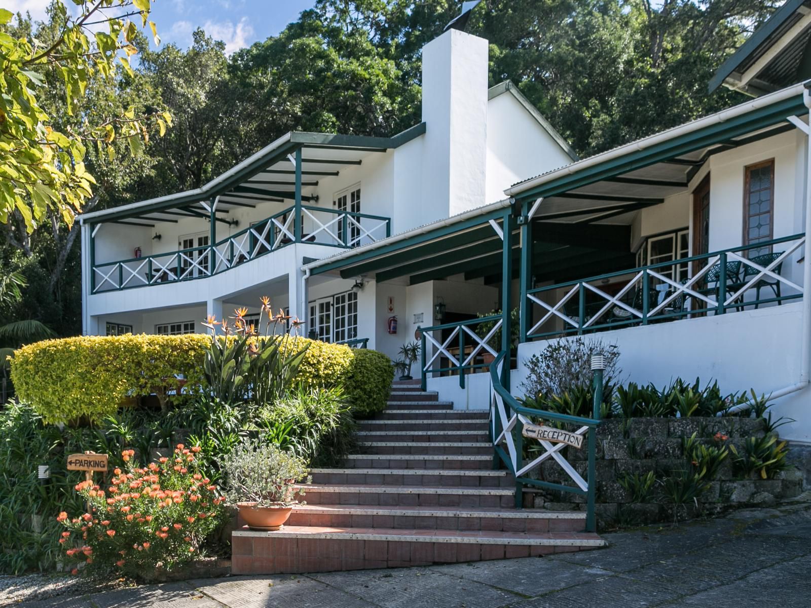 Hide Away Guest House Paradise Knysna Western Cape South Africa House, Building, Architecture, Palm Tree, Plant, Nature, Wood, Stairs