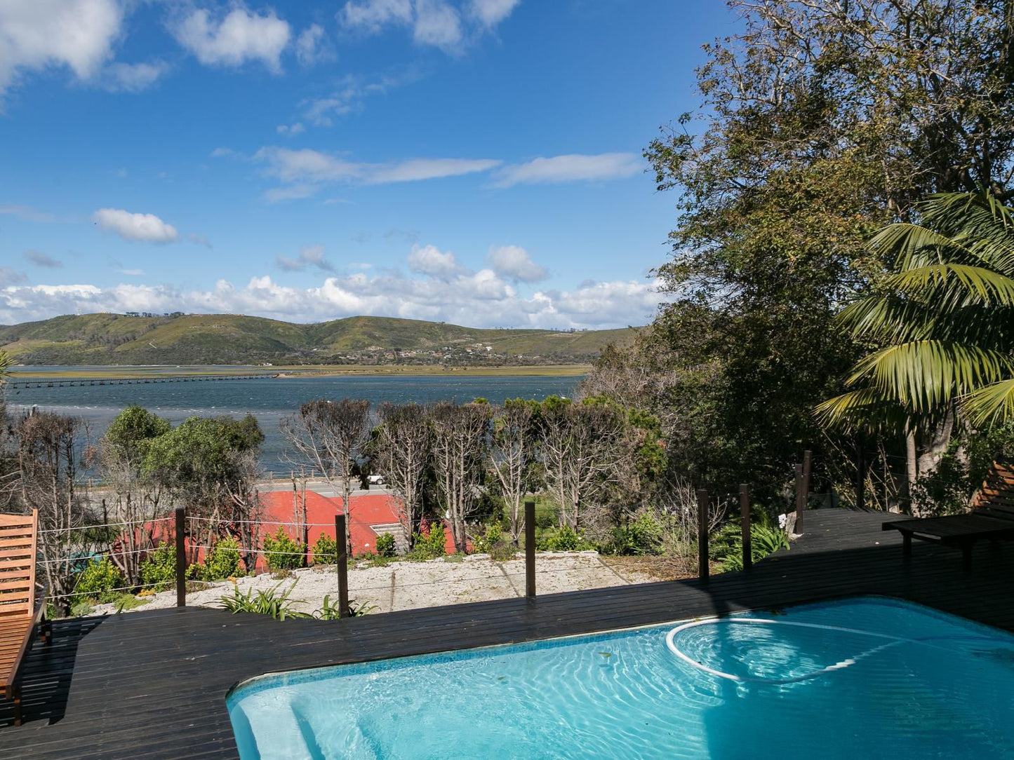 Hide Away Guest House Paradise Knysna Western Cape South Africa Palm Tree, Plant, Nature, Wood, Swimming Pool