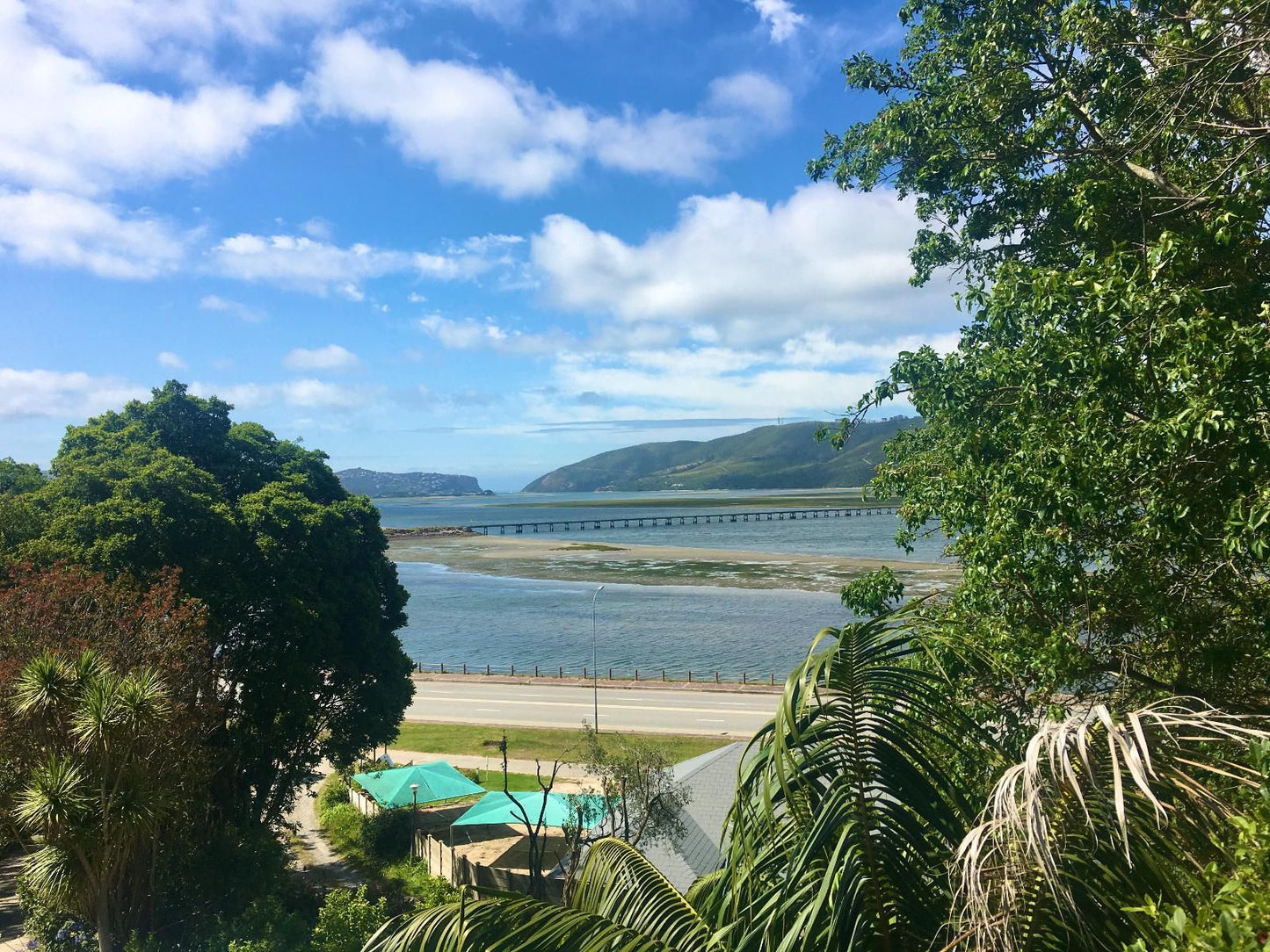 Hide Away Guest House Paradise Knysna Western Cape South Africa Complementary Colors, Beach, Nature, Sand, Palm Tree, Plant, Wood