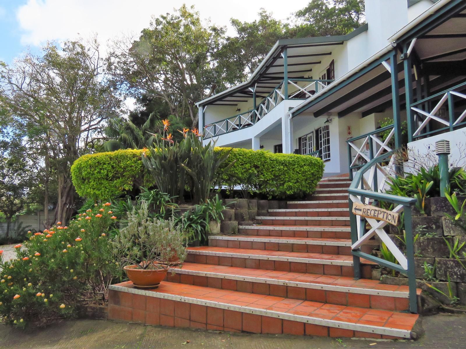 Hide Away Guest House Paradise Knysna Western Cape South Africa House, Building, Architecture, Stairs