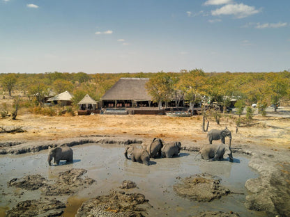 Hideaways Camp Kuzuma, Chobe, Animal