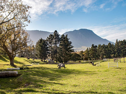 High Season Farm Luxury Cottages, Mountain, Nature, Highland