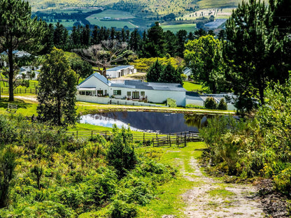 High Season Farm Luxury Cottages, Tree, Plant, Nature, Wood, Highland