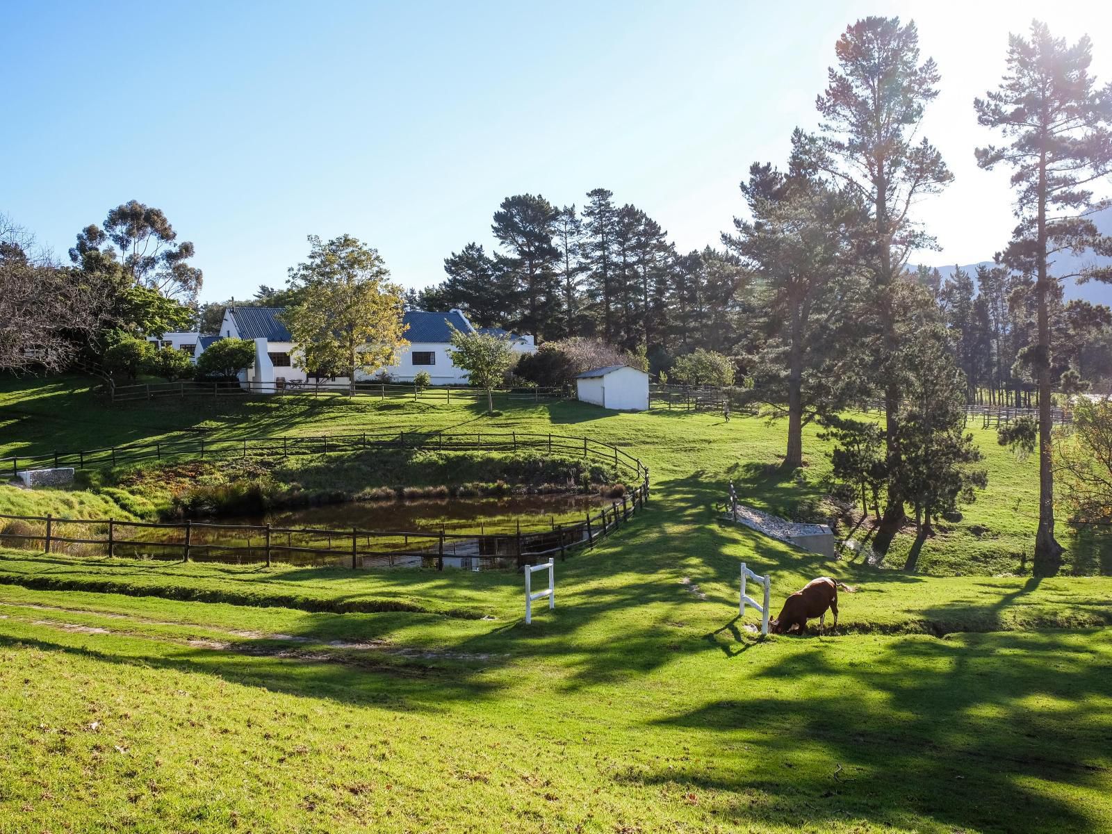 High Season Farm Luxury Cottages