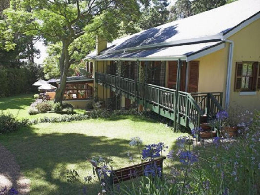 High Timbers Lodge Tokai Cape Town Western Cape South Africa House, Building, Architecture, Garden, Nature, Plant