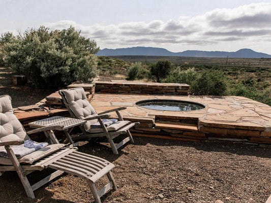 Higher Karoo Loxton Northern Cape South Africa Cactus, Plant, Nature