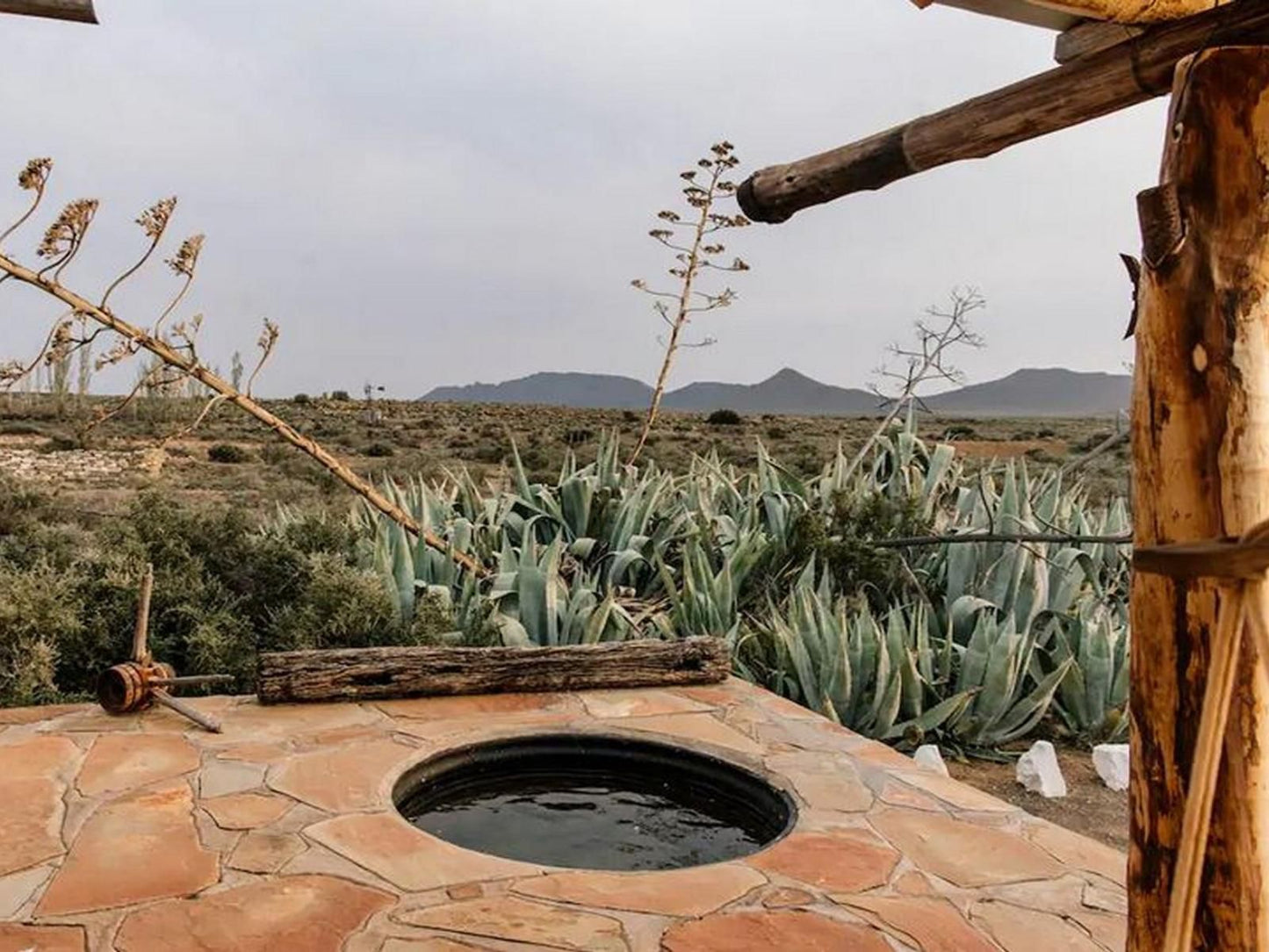 Higher Karoo Loxton Northern Cape South Africa Cactus, Plant, Nature, Desert, Sand